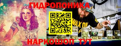 индика Апшеронск