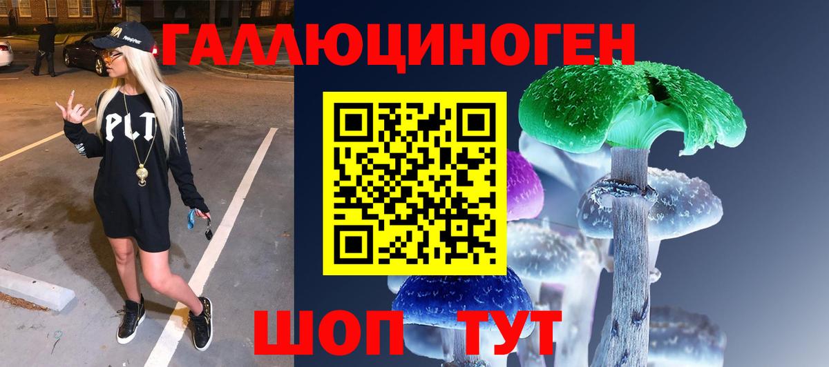 Псилоцибиновые грибы Psilocybe Богородицк